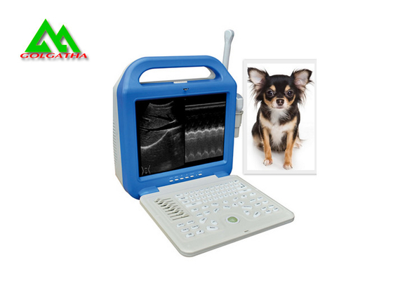 Chine Plein scanner vétérinaire portatif d'ultrason de Digital pour l'animal de chien de croassement de bétail fournisseur