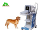 Plein scanner vétérinaire portatif d'ultrason de Digital pour l'animal de chien de croassement de bétail fournisseur